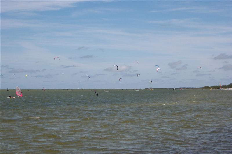 Vis 20090524-141839.jpg i fuld st�rrelse